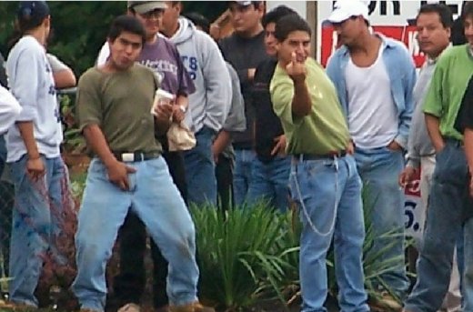 http://www.theodoresworld.net/pics/0407/illegal_aliens_FUCK_You.jpg