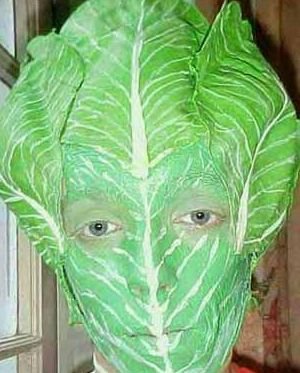 lettuceImage1.jpg